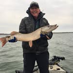 John Clampet - @fishes24.7 - Instagram