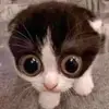 John Clapp - @john.clapp4 - TikTok