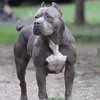 johnclap - @john.clap - TikTok