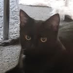 John Clearwater - @johnny_clearwater - Instagram