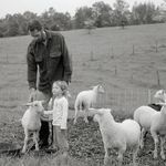 John Cleary - @clearyfarmvt - Instagram