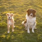 John Cleek - @cleekjohn - Instagram