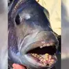 John L - @john.clemson76 - TikTok