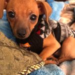 John Climer - @climer.john - Instagram