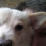 John Clinger - @makaha_jay - Instagram