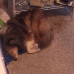 John Clontz - @john.clontz - Instagram