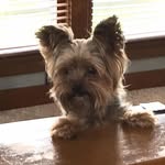 John Clouse - @john.clouse.3133 - Instagram