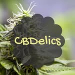 john clouse - @cbdelics - Instagram