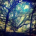 John Cluney - @johncluney - Instagram
