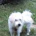 John Cobb - Facebook