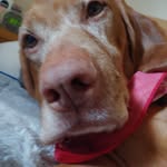 Mr. Johncock - @mr.johncock - Instagram