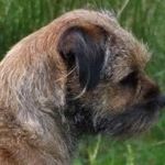 john Cockburn - @cockburn593 - Instagram
