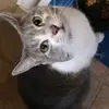 John Cockburn - @john.cockburn2 - TikTok