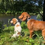 Aria.John_Cocker - @aria.john_cocker - Instagram