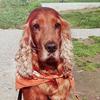 John Cocker - @user27703870 - TikTok