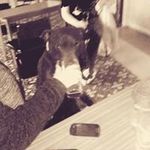 John Cocking - @cockingjohn - Instagram