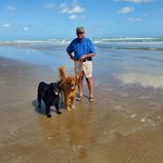 John Cocking - @john.cocking.100 - Instagram