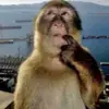 john.codd_ - @john.codd_ - TikTok