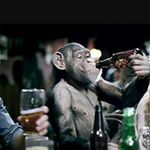 johncohill - @funkymonkey882 - Instagram