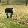 John Colarusso - @john.colarusso - TikTok