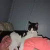 John Colbert - @john.colbert72 - TikTok