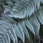 John Colburn - @johncol53 - Instagram