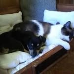 John Collie - @john.collie.1840 - Instagram