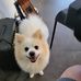John Collie - Facebook