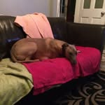 John Colling - @colling75 - Instagram