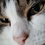 Chad John Collinson - @chadcollinson - Instagram