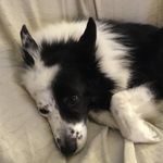 John Ronnie Collinson - @john_collinson66 - Instagram