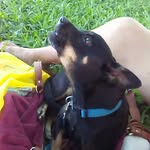 John Combs - @john.combs.180072 - Instagram