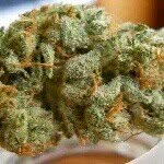 John comes - @best_worldwideshipping - Instagram