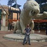 John Comiskey - @john.comiskey.395 - Instagram