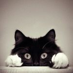 John "Olü" Comstock - @olumet - Instagram