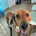 John Conaghan - @john.conaghan.501 - Instagram