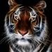 John Concha - Facebook