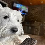 John Conlee Jr - @john_conleejr - Instagram