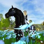 🐴John Connick - @ksk_schleich - Instagram