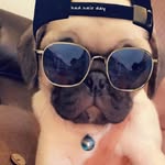 John Conwell - @gaichu_and_maddie - Instagram