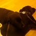 John Cook - Facebook