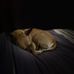 John Cook - Facebook