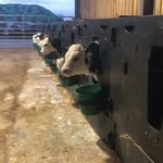 John Cookson - @cookson1679 - Instagram