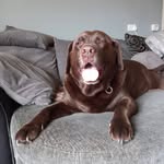John Cookson - @cookson4376 - Instagram