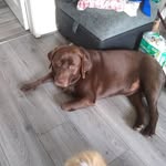 john cookson - @cookson412 - Instagram