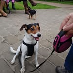 John Coombes - @john.coombes.10690 - Instagram