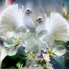 John Coombes - @john.coombes5 - TikTok