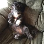 John Coombs - @john.coombs.925059 - Instagram