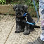 John Coombs - @johncoombs9 - Instagram
