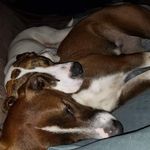 John Coons - @jpcoons - Instagram